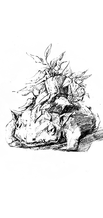 Pencil drawing of a naturalistic Bulbasaur from Pokémon
